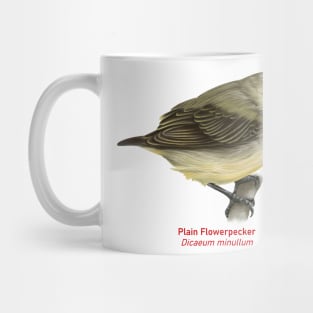 Plain Flowerpecker | Dicaeum minullum Mug